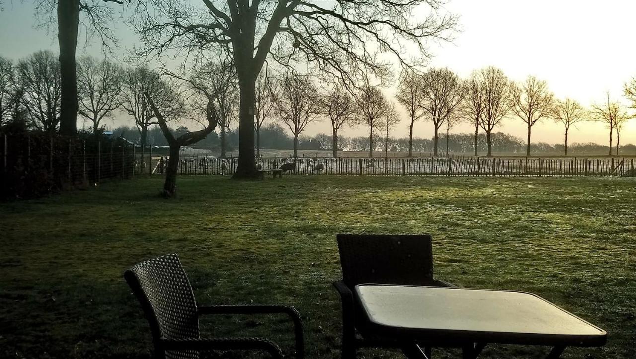 'T Rond Bargie Bed and Breakfast Exloo Exteriör bild