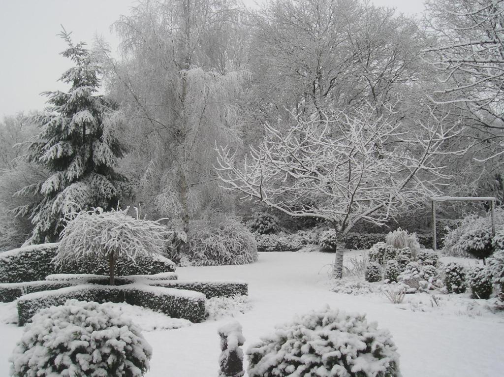 'T Rond Bargie Bed and Breakfast Exloo Exteriör bild