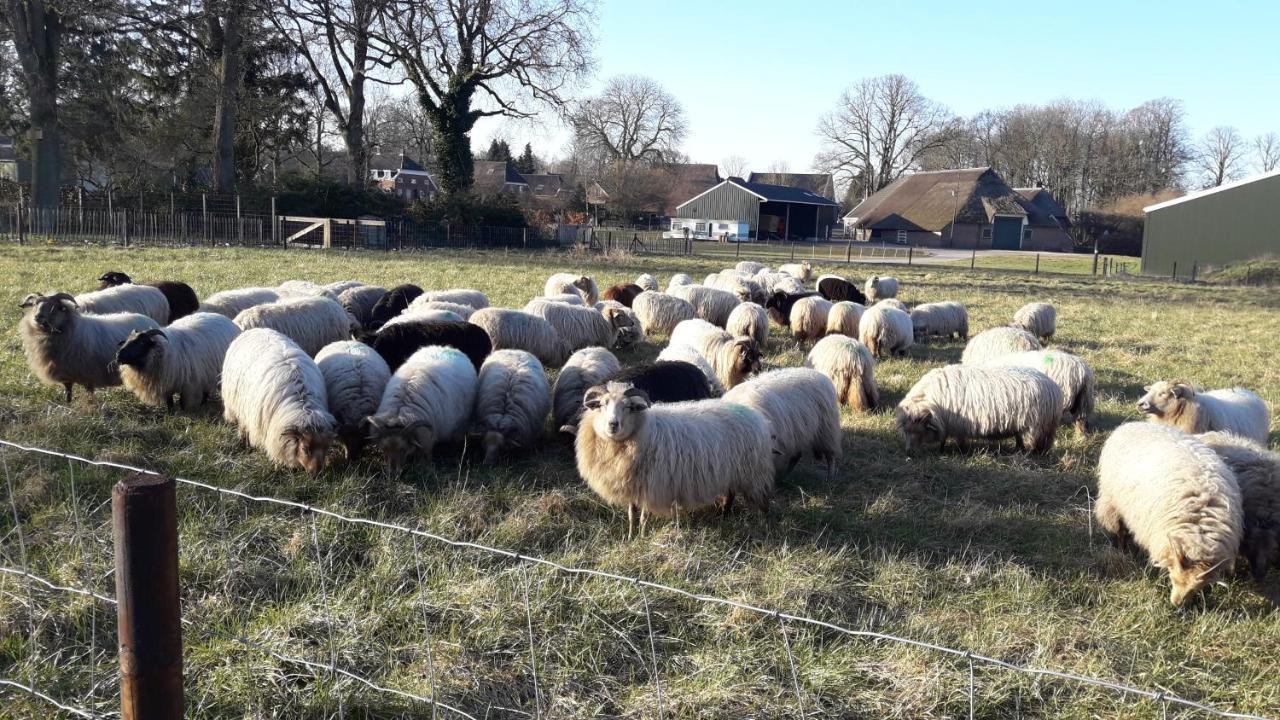 'T Rond Bargie Bed and Breakfast Exloo Exteriör bild